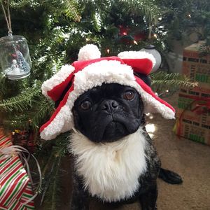 Meet your Posher, Brandy